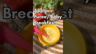 Apple puree for 6 month old baby | baby first food | best fruit puree for baby