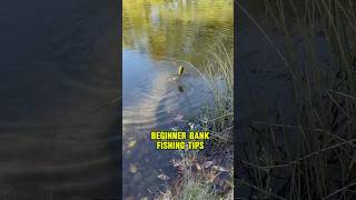 BANK Fishing For Beginners - BEST Bank Fishing Setup! 🎣 #shorts #beginners #fishing