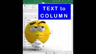 Text to Column in Excel