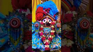 Mu anidra aji.. hey jaga to kala andharare mote.. #jagannath #puri #jaga