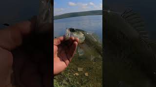 Pesca de orilla en sombreretillo