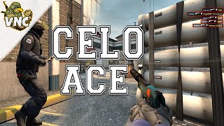 celowh ACE