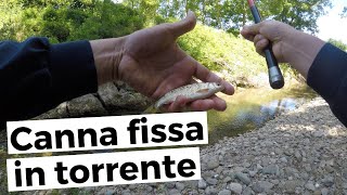 PESCA A CANNA FISSA IN TORRENTE - STREAM MICROFISHING - pesCarlo 4K