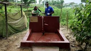 Water Pump - In memory of Ayube Bacchus & Meimoon Bacchus