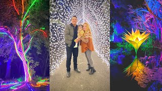 Lightscape at San Diego Botanic Garden