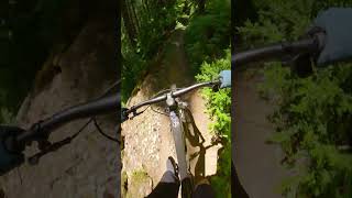 POV Mountain Biking in Oregon ⛰️ #shorts #fyp #bike