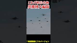 これぞ岐阜名物!異機種大編隊This is Gifu's specialty, a large formation of different types of equipment・フルバージョン見てね