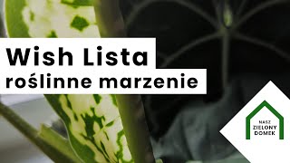 Rośliny z wishlisty | WISHLISTA ROŚLIN | Jesień i pełno nowych liści - łatwe rośliny doniczkowe