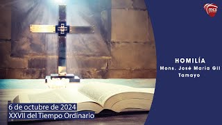 Homilía del domingo XXVII del Tiempo Ordinario (06.10.2024)