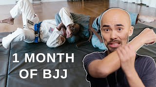 1 Month Brazilian Jiu-Jitsu Training - Experience & Thoughts on BJJ - Is it a Practical Martial Art?