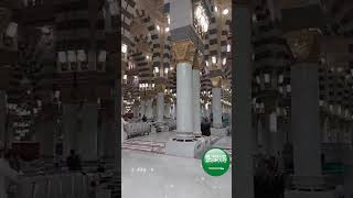 #madinahalmunawwarah #islamicvideo #madinasharif #islamicshorts #madina #masjidnabawi