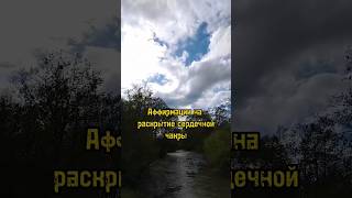 63 дня=63 аффирмации, именно в течение  такого времени у нас формируются новые нейронные связи⤵️