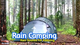 Rain Camping | Relaxing sounds | Rain on Tent