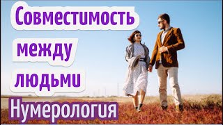 Совместимость между людьми. Нумерология