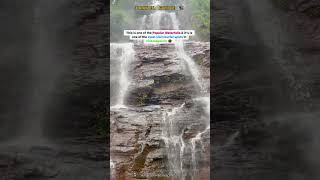 #buttermilkfalls #chikmagalur #waterfalls #travelshorts #travelguide #karnatakatourism #travelvideo