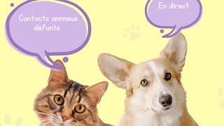 CONTACTS ANIMAUX DEFUNTS