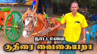 நாட்டாமை குதிரை பண்ணை🔥வண்டி பயணம் போவோமா| horse farm  kattumannarkoil rekla jallikattu