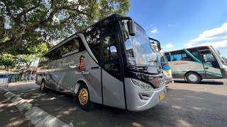 Patas Spesial Single Glass 😍‼️| Trip Po.Haryanto Patas 03 “ Jogjakarta - Kudus “