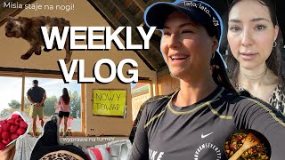 WEEKLY VLOG ☀️ // postępy na budowie / na lumpy w Gdyni / testy napojów zero / wracam do biegania //