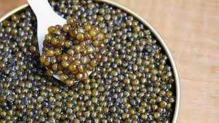 O que é caviar e como coletá-lo?