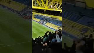 Horto Magiko in Villareal