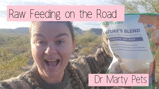 Raw feeding on the road - Dr Marty freeze dried raw dog food