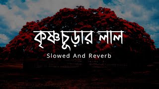 কৃষ্ণচূড়ার লাল - আহমেদ যুবায়ের (Slowed And Reverb)  | Ashab Uddin