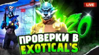 СТРИМ ФРИ ФАЕР БЕСПЛАТНЫЕ ПРОВЕРКИ В EXOTICAL'S