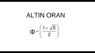 Altın oran 1