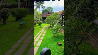 എന്റെ കേരളം🏡#story #bestmoments #beauty of #nature #kerala #youtubeshorts #youtubevideo