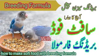 Lovebird soft food // Lovebird ka soft food kesy tiyar kre// how to lovebird soft food make at home