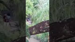 Encuentran con vida a niño desaparecido en el río Guarenas