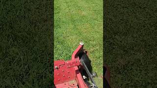 Grass has been thick this week #hurricane #farmall51 #shortvideo #shorts