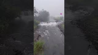 #monsoon #status #viral #video