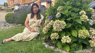 My small Elegant and Edible Garden | Mamata's Essence