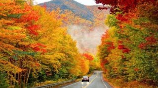 Scenic Drive | Scenery | Nature | Road Trip | Fall Colors | Belfountain | Ontario | Canada 🍁🇨🇦 |