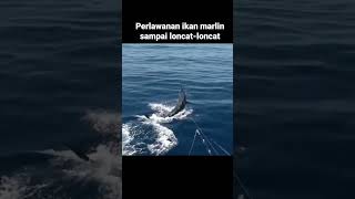 Mancing ikan marlin