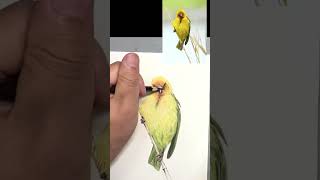 easy pencil drawing | sketch drawing with pencil | 3d art zone 56