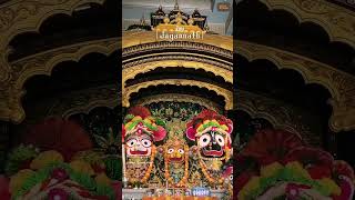 Odia🙏🙏 bhajan🌹🌹 WhatsApp status video#viralvideo #shortsvideo #video #viral #bhajans #jayjagannath