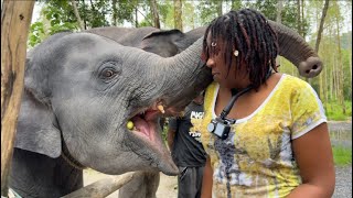 Elephant Care Park Nia Dee PHUKET (Thailand) - Patong Shooting Range Adventure