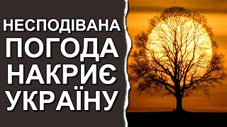 Погода в Украине на 3 дня | Погода на 27 - 29 декабря 2023