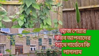 আমার গার্ডেনে কি কি গাছ লাগালাম আজ শেয়ার করব   25 / July /2024