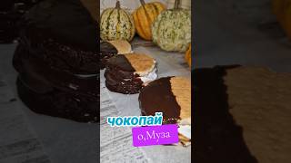 ЧОКОПАЙ (анонс)