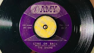 The Sheiks   Come On Back 1960 Amy -807 -Doowop 45rpm oldies