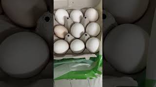 Egg#shortvideo #eggfried #eggrecipe # eggfromthefarm