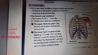 شرح ال Thoracic cage للثانوية العامة بيولوجي لغات | د. محمد خالد