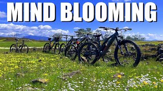 Mind Blooming // Wellbarn Trail to Table Mountain // Super Bloom MTB Ride with The DeSenders 💐