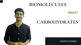 Carbohydrates| Class : 11 | Botany | Unit : Biomolecules | Tamil Nadu New Syllabus |