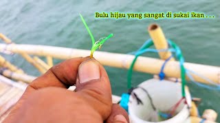 Terbukti ampuh !! Harus bawa ini jika ingin dapat ikan besar ||Mancing bagan tanjung kait