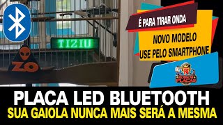 Placa de gaiola Led BLUETOOTH. Veja como Funciona